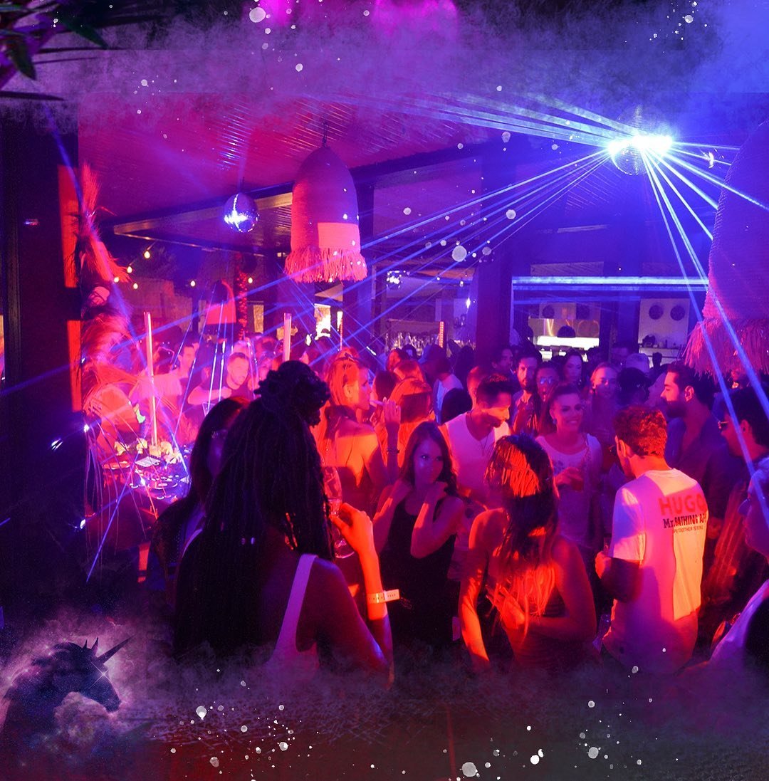 party bus nightlife
